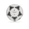 adidas Tango Rosario Trainingsball (656927) - weiss