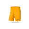 NIKE Park III Shorts (739) - orange