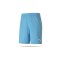 PUMA teamGOAL 23 Knit Shorts (018) - blau