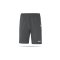 JAKO Premium Training Shorts (048) - grau