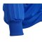 adidas Condivo 18 Polyesterjacke Kinder (CF4336) - blau