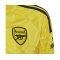 adidas FC Arsenal Torwarttrikot Home 2022/2023 Kids Gelb (HE1244) - gelb