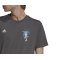adidas Messi Graphic T-Shirt Grau (HG1952) - grau