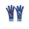 adidas Predator Pro Hybrid TW-Handschuhe Marinerush Blau Weiss - blau