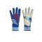 adidas Predator Pro PC TW-Handschuhe Marinerush Blau Weiss - blau