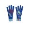 adidas Predator Pro TW-Handschuhe Marinerush Blau Weiss - blau