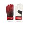 adidas Predator Training TW-Handschuh (FH7295) - schwarz