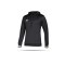 adidas Team 19 Kapuzensweatshirt (DW6860) - schwarz