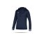 adidas Team 19 Kapuzensweatshirt Kinder (DY8821) - blau