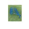 Cawila Trainingshürden Stand-Up 5er | 40cm Blau - blau