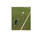 Cawila Trainingsstange L | 1,60m | Ø 25mm | Grün | Hürdenstangen (Slalomstangen) - gruen