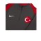 Nike Türkei Strike Drilltop EM 2024 Grau F060 - grau