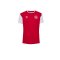 Hummel Dänemark Block T-Shirt Rot Weiss F3681 - rot
