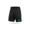 Nike Academy Pro Training Short Schwarz Grün F011 - schwarz
