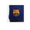 Nike FC Barcelona Short Home 2023/2024 Blau F455 - blau