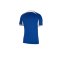 Nike FC Chelsea Trikot Home 2023/2024 Blau F496 - blau