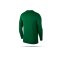 NIKE Park 18 Crew Top Sweatshirt (302) - gruen