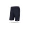 NIKE Park 20 Knit Shorts (451) - blau
