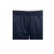 NIKE Park 20 Knit Shorts Damen (451) - blau