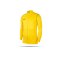 NIKE Park 20 Knit Track Jacket Kinder (719) - gelb