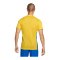 Nike Park Derby IV Trikot Gelb Blau F720 - gelb