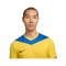 Nike Park Derby IV Trikot Gelb Blau F720 - gelb