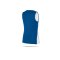 Nike Team Basketball Tanktop Reversibel Damen (463) - blau