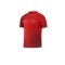Nike Türkei Academy Pro T-Shirt EM 2024 Rot Weiss F611 - rot