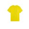 PUMA BVB Dortmund Prematch Shirt 2023/2024 Kids Gelb F01 - gelb