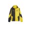 PUMA BVB Dortmund Prematch Woven Jacke 2023/2024 Gelb F01 - gelb