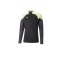 PUMA individualCUP HalfZip Sweatshirt Top F51 - schwarz