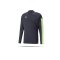 PUMA individualFINAL Fastest Sweatshirt Blau (047) - blau