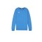 PUMA teamGOAL Casuals Sweatshirt Kids Blau F02 - blau