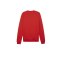 PUMA teamGOAL Casuals Sweatshirt Rot F01 - rot