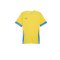 PUMA teamGOAL Matchday Trikot Gelb Blau F17 - gelb