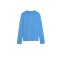 PUMA teamGOAL Training Sweatshirt Damen Blau F01 - hellblau