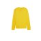 PUMA teamGOAL Training Sweatshirt Damen Gelb F07 - gelb