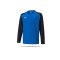 PUMA teamLIGA Sweatshirt Kids Blau (002) - blau