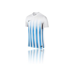 nike-striped-division-2-trikot-kurzarm-vereinsausstattung-teamsport-sportbekleidung-weiss-f100-725893.png
