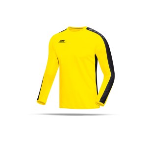 jako-striker-sweatshirt-herren-teamsport-ausruestung-mannschaft-f03-gelb-schwarz-8816.png
