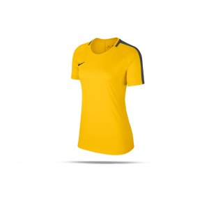 nike-academy-18-football-t-shirt-damen-f719-shirt-damen-mannschaftssport-ballsportart-893741.png