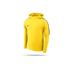 nike-dry-academy-18-kapuzensweatshirt-kids-f719-hoodie-kapuzenshirt-kinder-fussball-mannschaftssport-ballsportart-aj0109.png