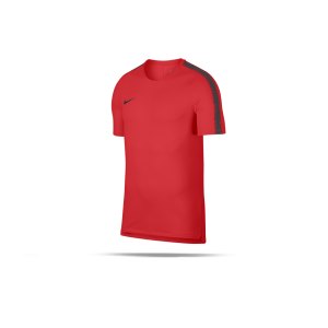 nike-breathe-squad-18-top-kurzarm-rot-f696-fussball-teamsport-textil-t-shirts-textilien-894539.png