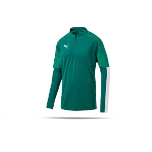 puma-cup-training-1-4-zip-top-gruen-f05-fussball-teamsport-textil-sweatshirts-656016.png