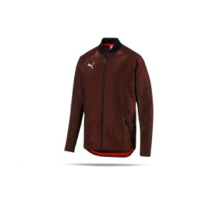 puma-ftblnxt-pro-jacket-jacke-rot-schwarz-f01-fussball-textilien-jacken-656121.png