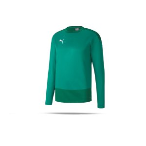 puma-teamgoal-23-training-sweatshirt-gruen-f05-fussball-teamsport-textil-sweatshirts-656478.png