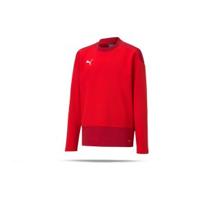 puma-teamgoal-23-training-sweatshirt-kids-rot-f01-fussball-teamsport-textil-sweatshirts-656568.png