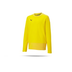 puma-teamgoal-23-training-sweatshirt-kids-gelb-f07-fussball-teamsport-textil-sweatshirts-656568.png