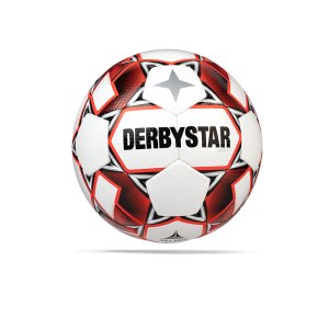 derbystar-apus-tt-v20-trainingsball-f130-1154-equipment_front.png
