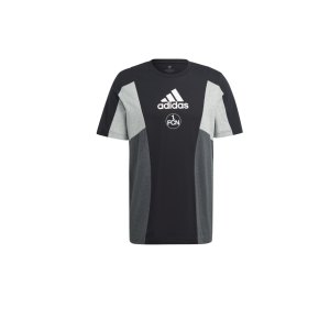 adidas-1-fc-nuernberg-colorblock-t-shirt-schwarz-fcn2324ic3681-fan-shop_front.png